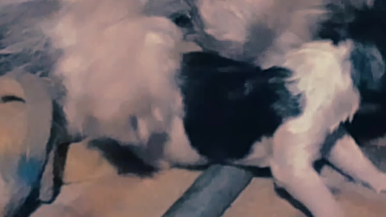 ¡Mi perrita tuvo cría y yo ni sabía que estaba preñada! 11/04/2025