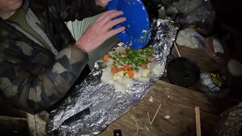 4 days alone in Alaska- bushcraft camping and foraging foods