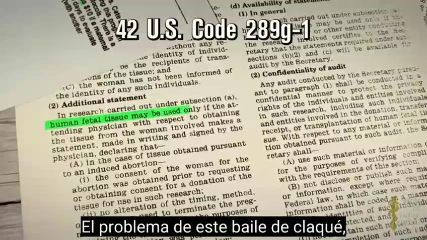 Cosecha de bebés