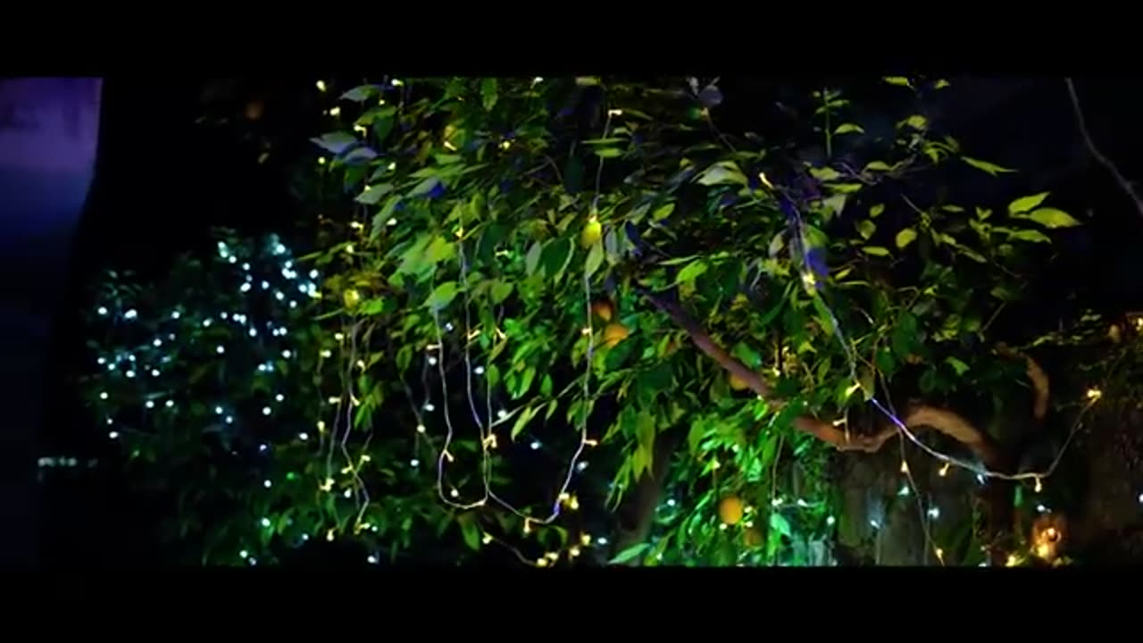 New Christmas Geet | shahr e dawood | Chris Chohan | Christmas Song