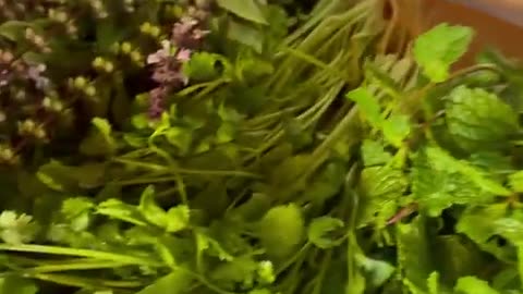 Juice Recipe To Eliminate Parasites!