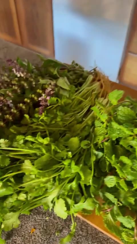 Juice Recipe To Eliminate Parasites!