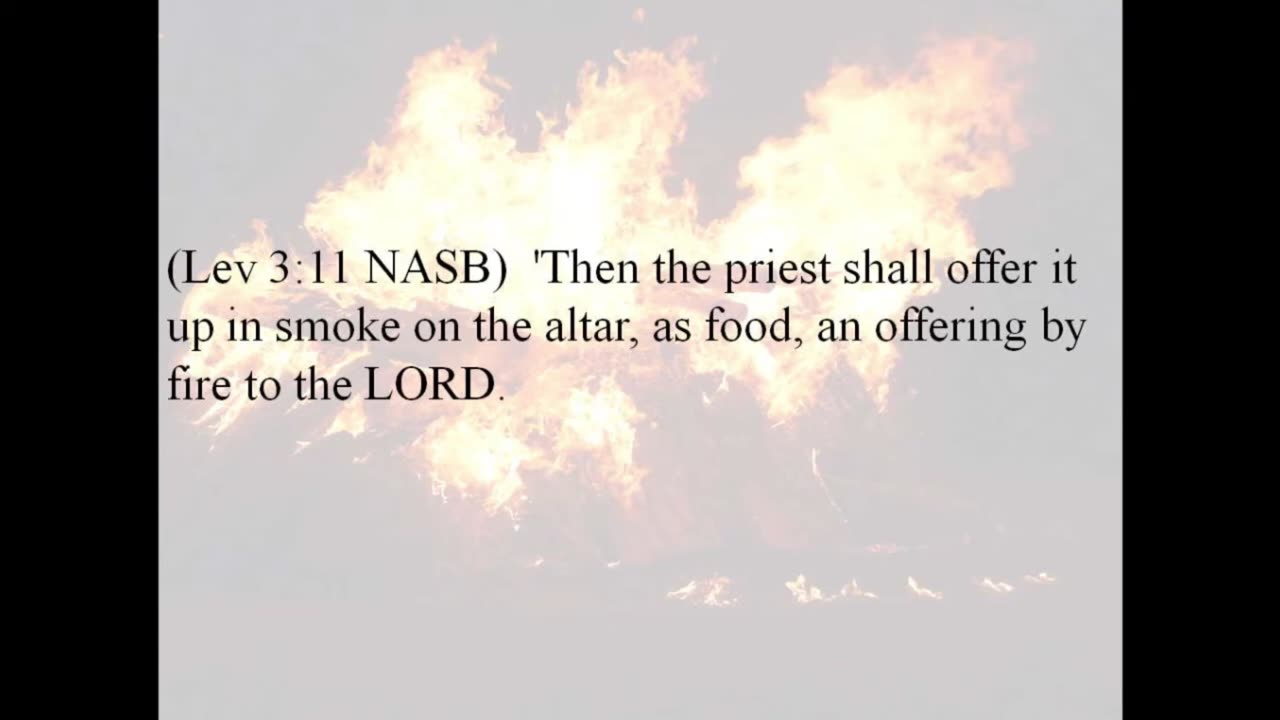 Leviticus Chapter 3– What offering is shared by the priests and by the one making the offering? 2022