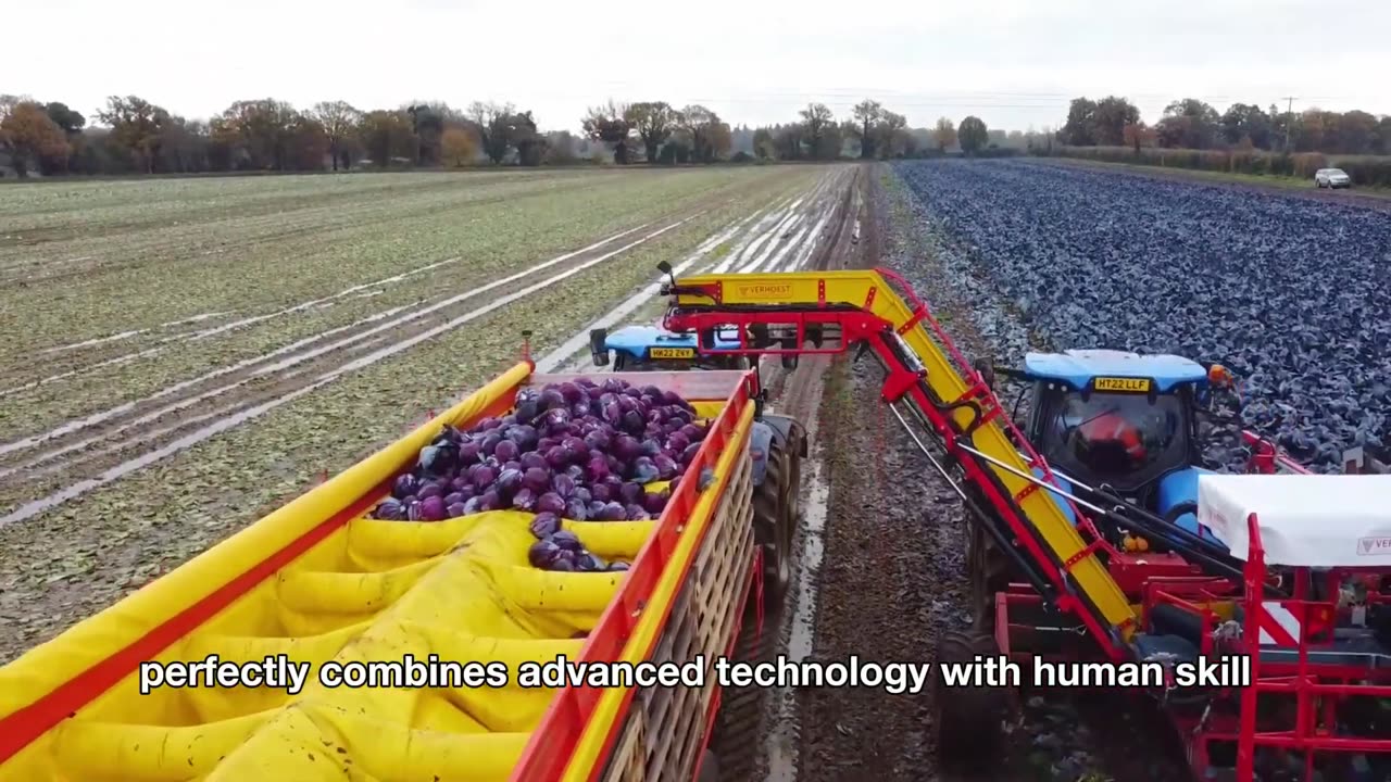 BILLION TONS of Food Crops 🌾 | How America Harvests & Processes with Next-Level Agri-Tech 🇺🇸