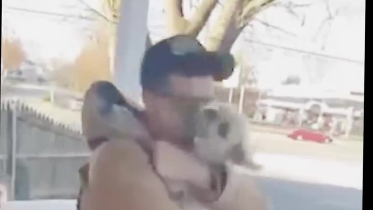 When you see your lost dog again...
