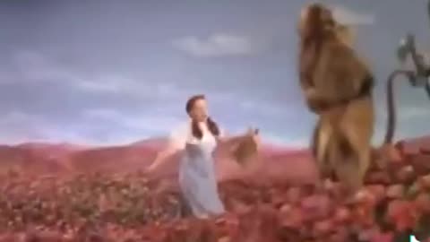 A closer look at some of the representations in THE WIZARD OF OZ...