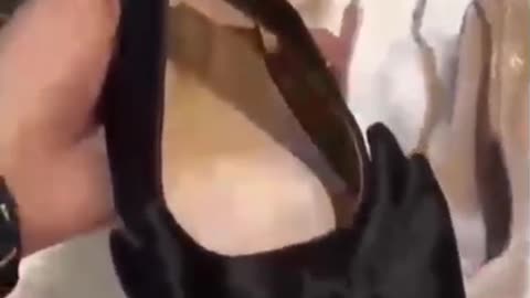 Chic Black Pointed-Toe Strap Heels Review 2025 | Stylish Party & Formal Women’s Footwear