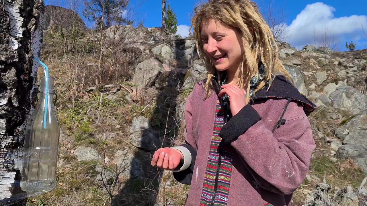 Drinking water💦from inside Birch trees🌳