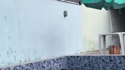 Wife's Pool Jump Surprise