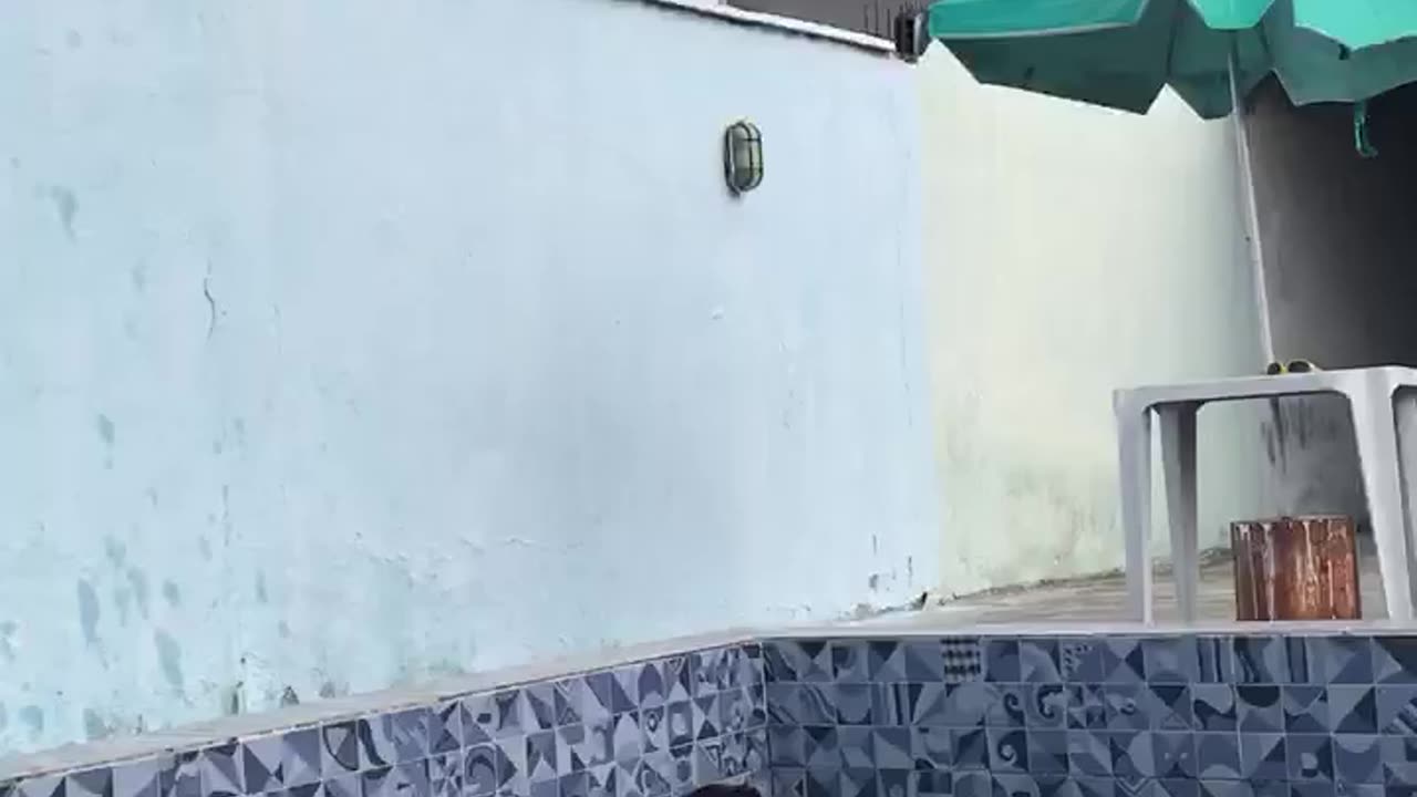 Wife's Pool Jump Surprise