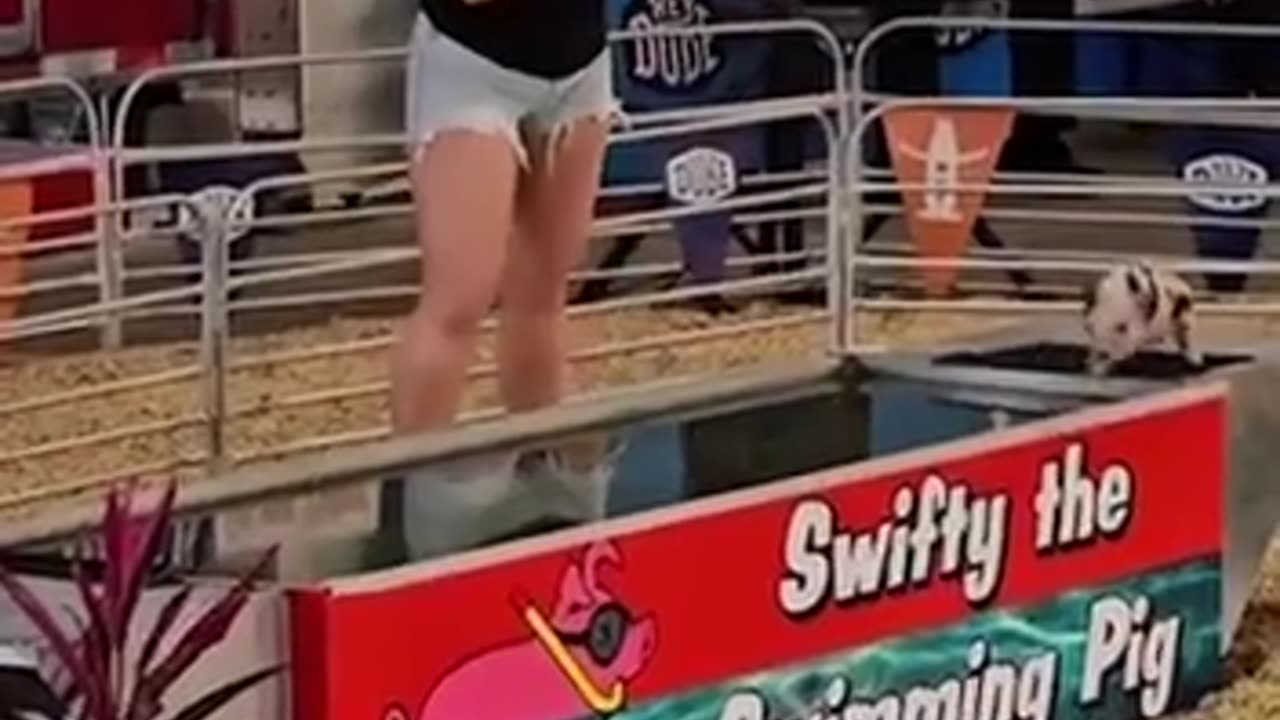 Short distance swim champion