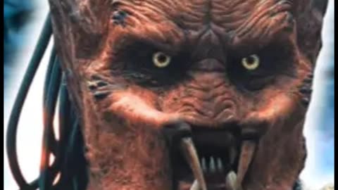 Obcy kontra Predator