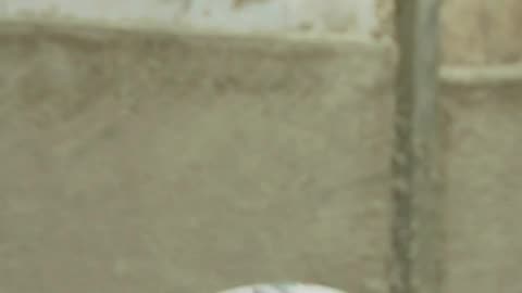 Freestyle soccer player doing skillful tricks with the ball