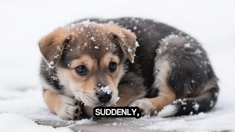 If He Didn’t Stop… It Would Have Died! 🐾💔