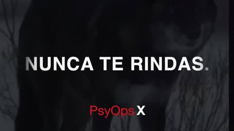 PsyOps X 05192025