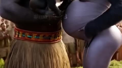 funny animals