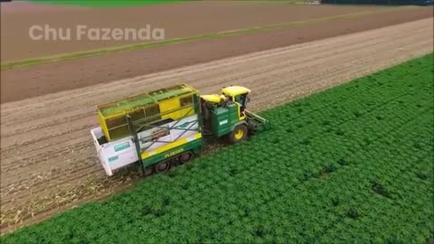 Milhões De Toneladas De Frutas Da Safra De 2025 Estão Sendo Colhidas Dessa Maneira