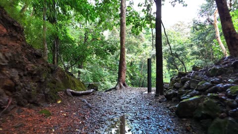 "Confidence is built on the graveyard of your failures."