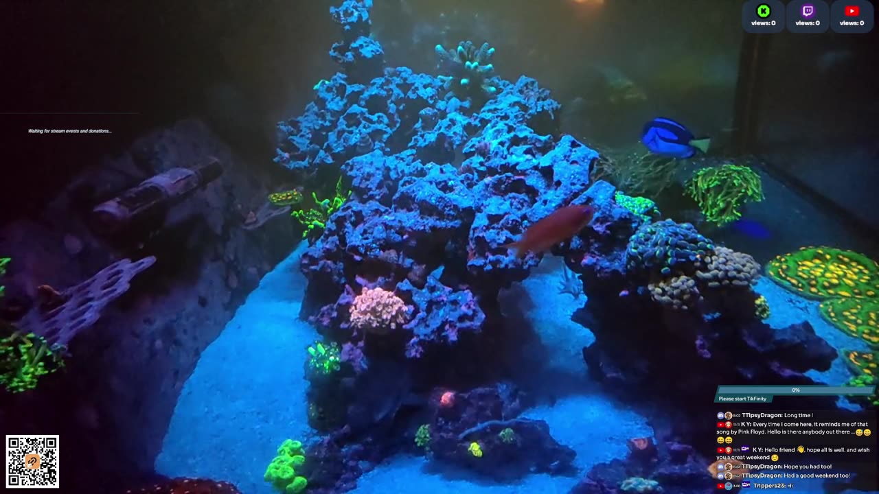 24/7 Real Live Reef Stream