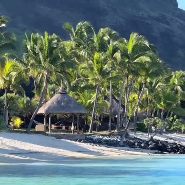 Black Garden Of European tycoons - Mauritius