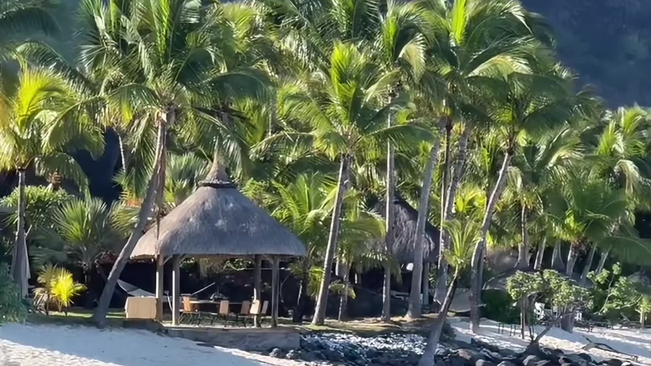 Black Garden Of European tycoons - Mauritius