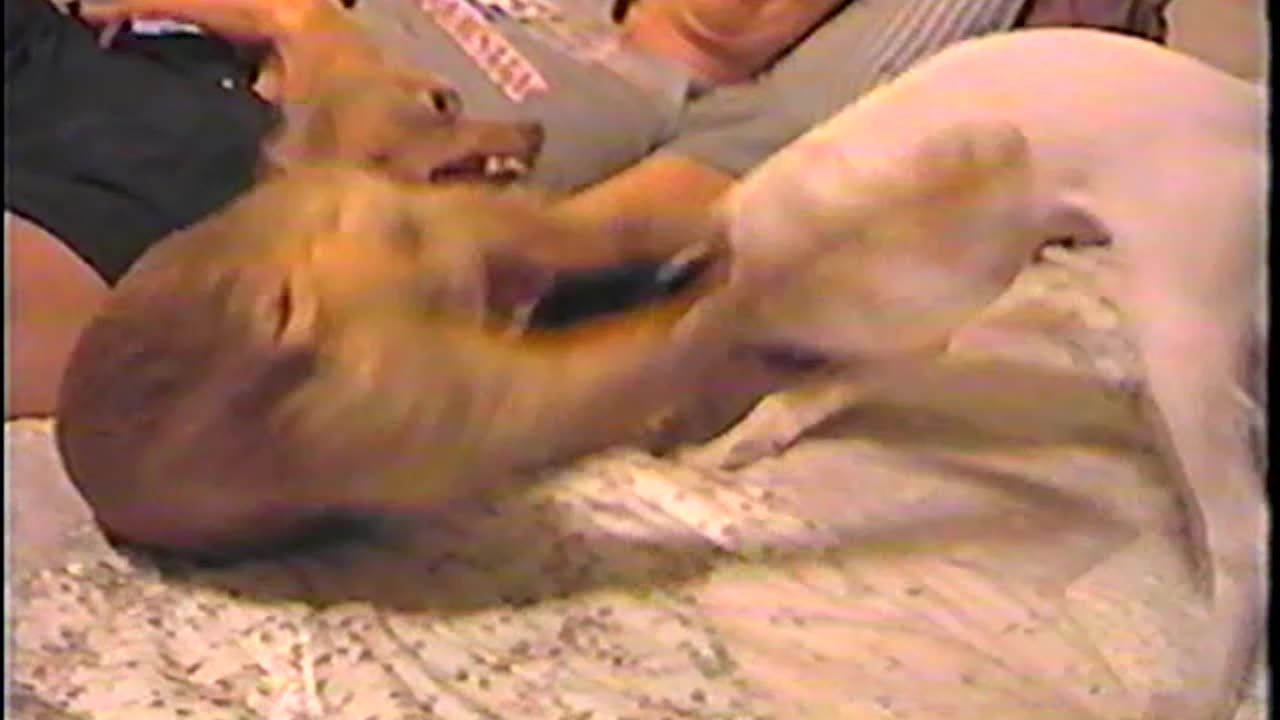 2004-VA-Mocha-Latte-1