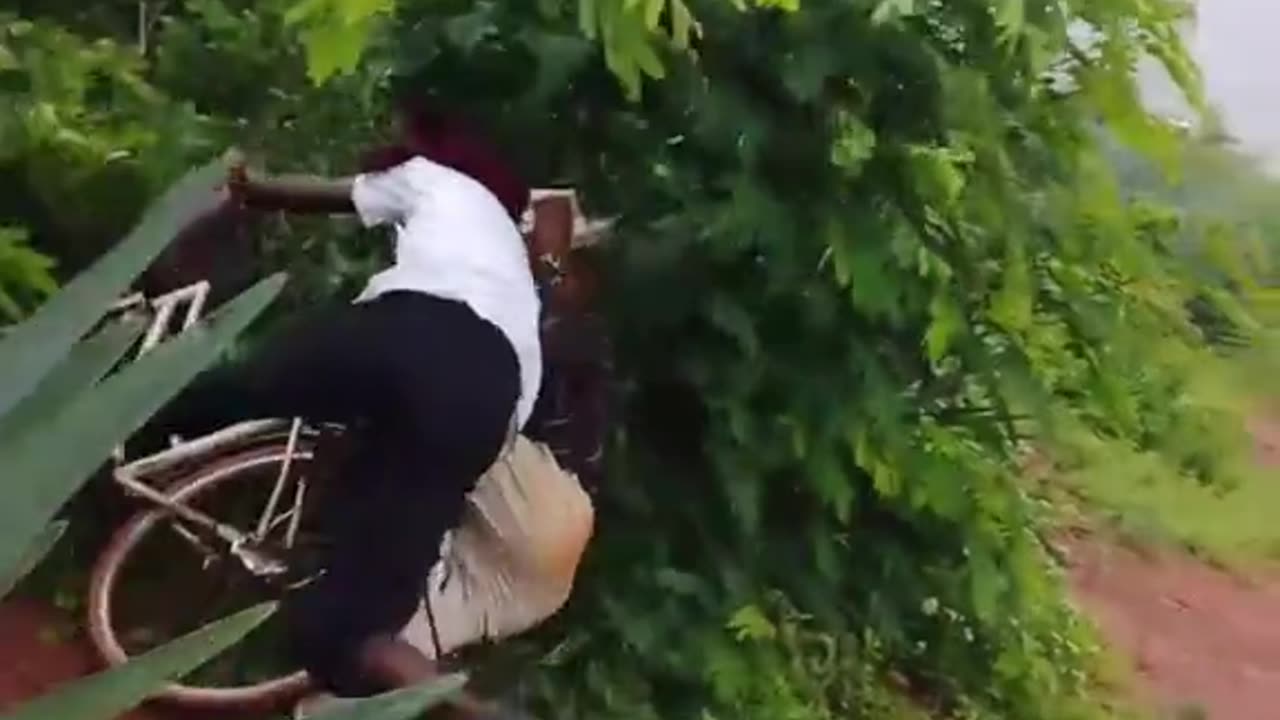 Hilarious Bicycle Ride Gone Wrong! 😂 | TikTok Africa Compilation