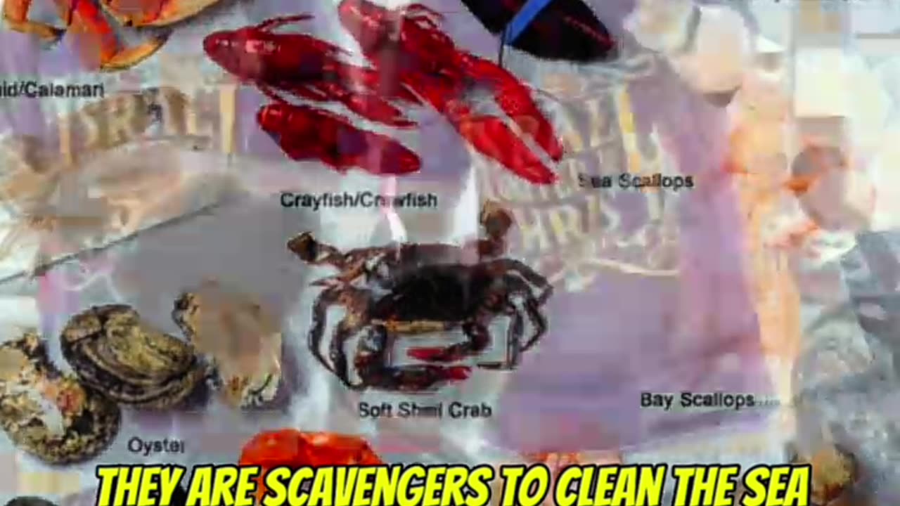 Israelites must NOT eat UNCLEAN food