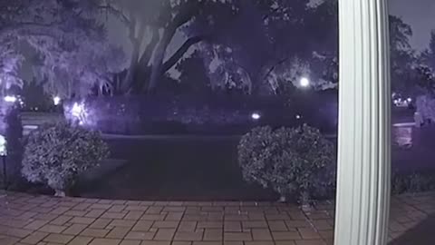 😂🦝 Raccoon Fail That Will Make You Laugh! | FunFM