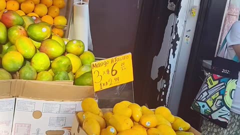 Latina en NYC se molesta con manifestantes que apoyan a migrantes.