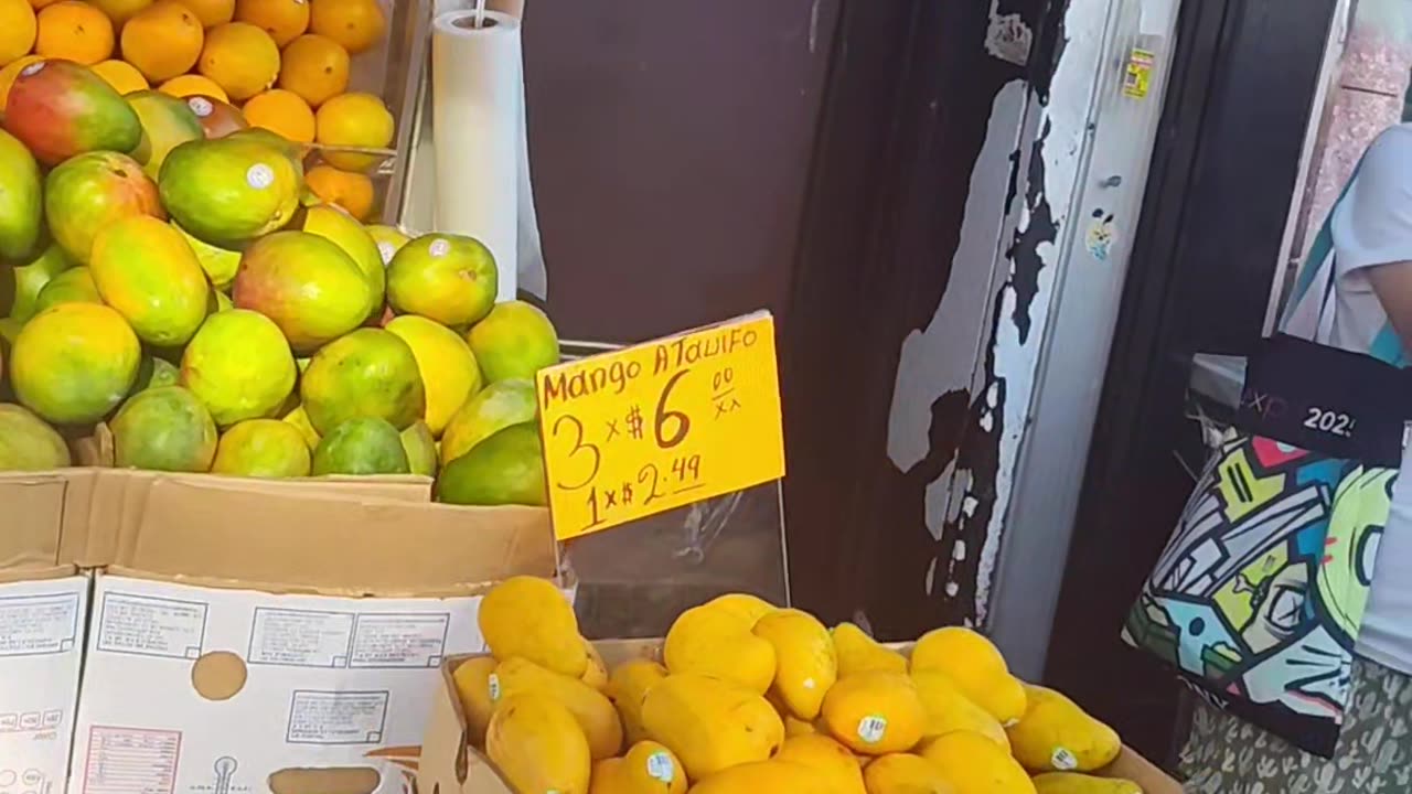 Latina en NYC se molesta con manifestantes que apoyan a migrantes.