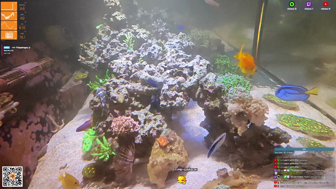 24/7 Real Live Reef Stream
