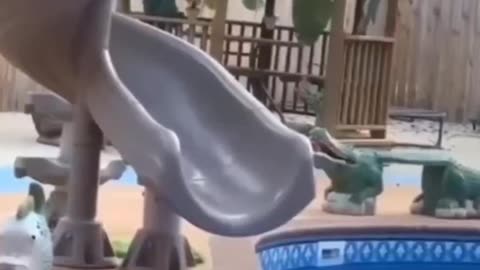 Hilarious Cat Antics—Laugh Till You Drop! 🐱😂