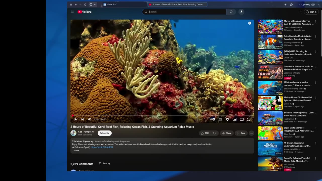 Delta Surf Web Browser For Your AI Dystopian Fantasy