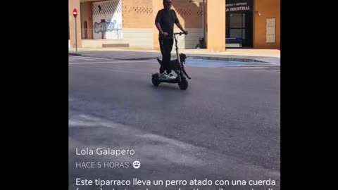 Esto ha ocurrido en Cáceres (Extremadura, Spain)