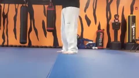 Spinning Heel Kick