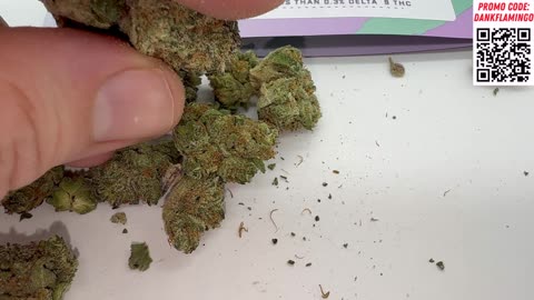 Canna Cured Review by The Dank Flamingo