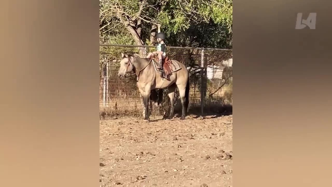 Crazy Funny Fails You Need to See - TRY NOT TO LAUGH Funny Videos