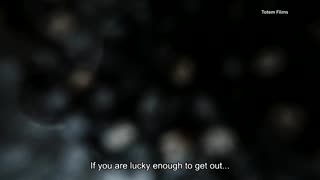 Iranian filmmaker confronts Tehran prison trauma in 'Roya'