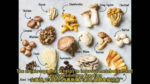 每天吃蘑菇 罹癌風險降