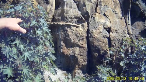 250513A___Madeira_NS-404._Larger_living_space_now,_in_the_cave.(1080p)