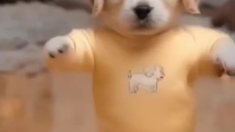 Can a dog dance ?