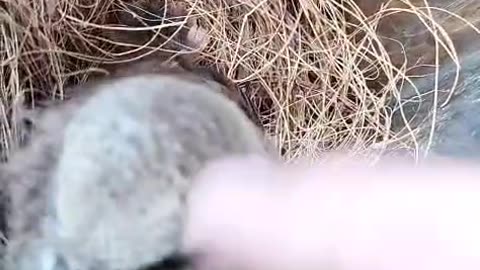 New friend