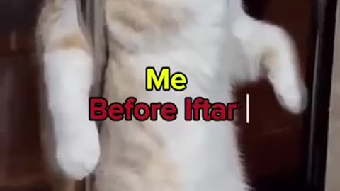 7y5r