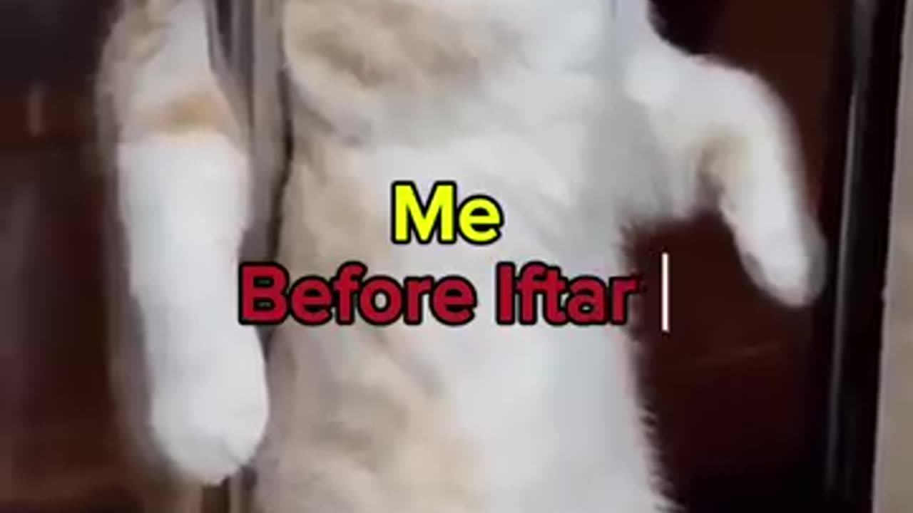 7y5r
