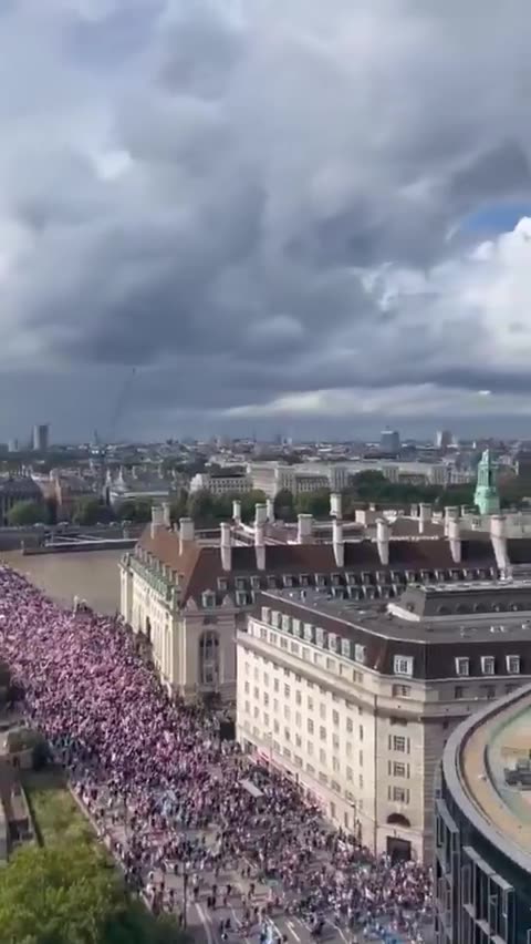 Demonstrace proti imigraci v Londýně