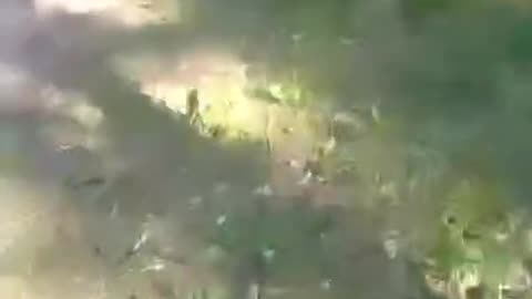 War in ukraine