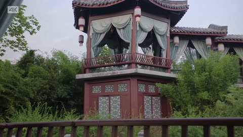 韶华12