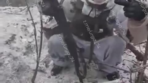 War in ukraine