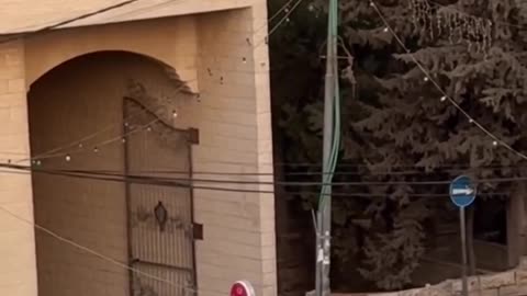 Their crimes in full view under the sun and no shame or attempt and pretending